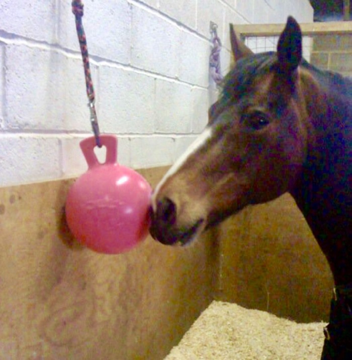 Playing with her jolly ball