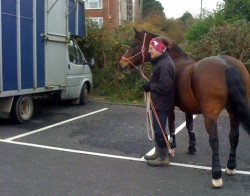 Richard drove us there in our lovely old horsebox