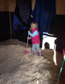 Lily mucking out
