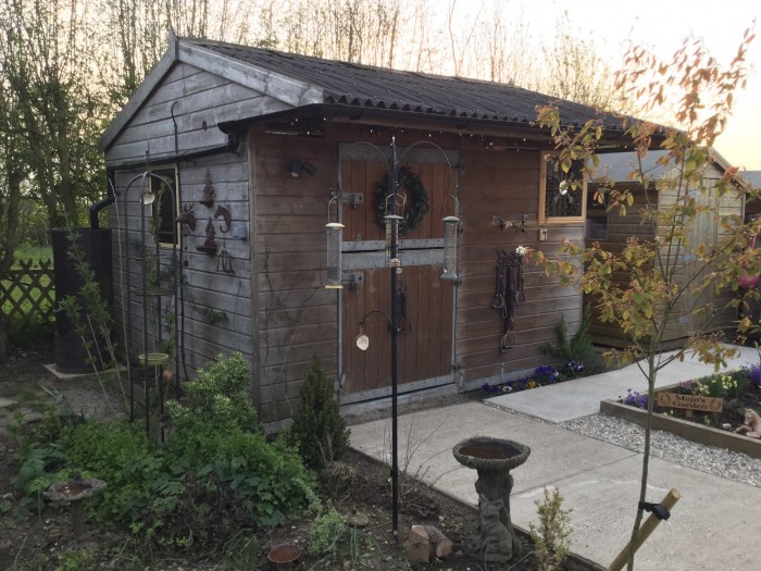 Mojo’s stable, converted into an area to sit in the summer and decorated with special bits and bobs to remember her by.