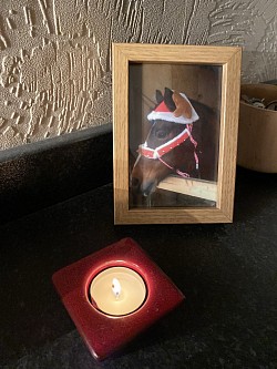 Horse candle