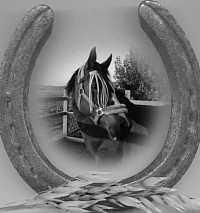 Mo in a horseshoe