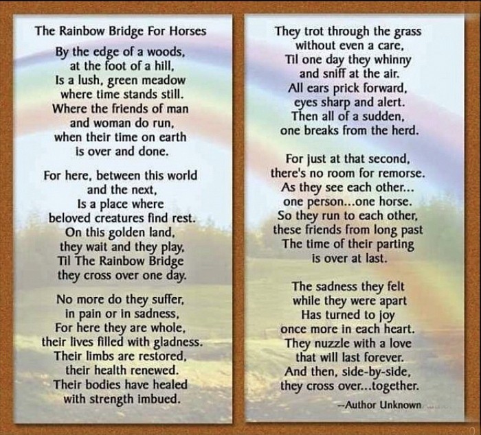 Rainbow bridge